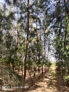 ఫోటో 2