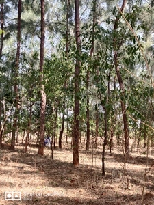 ఫోటో 3