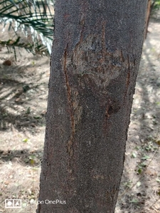 ఫోటో 4