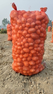 फोटो 2