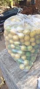 ನಿಂಬೆಹಣ್ಣು
