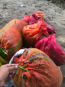 പച്ചമുളക്
