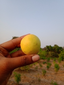 ഫോട്ടോ 2