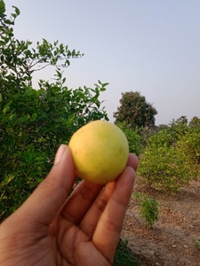 ഫോട്ടോ 3