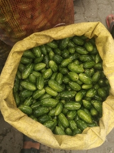 குண்டுலி