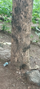 ఫోటో 2
