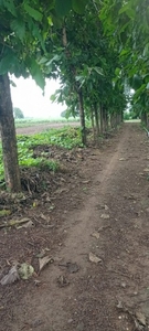 ఫోటో 4