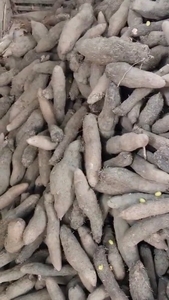ಫೋಟೋ 2