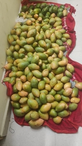 ഫോട്ടോ 2