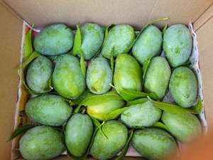 ഫോട്ടോ 2
