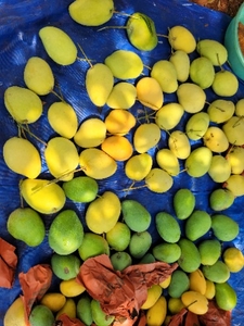 ഫോട്ടോ 3