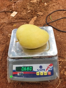 ഫോട്ടോ 4