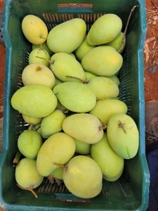 ഫോട്ടോ 5
