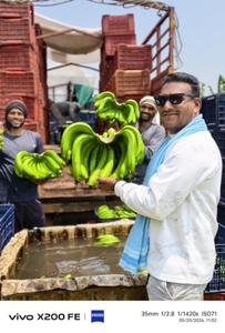 అరటిపండు