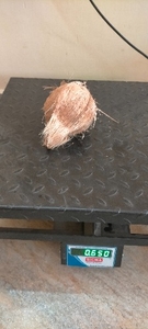 ಫೋಟೋ 2