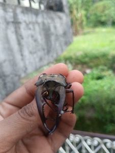 ఫోటో 2