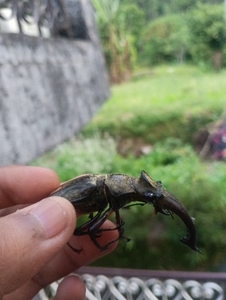 ఫోటో 3