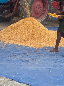 ಮಕ್ಕಾ