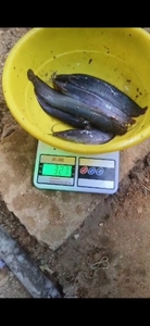 ഫോട്ടോ 5