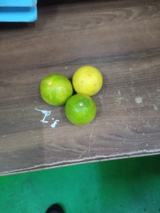 ನಿಂಬೆಹಣ್ಣು