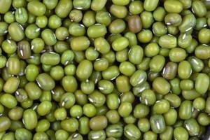 ಮುಂಗ್
