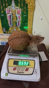 ఫోటో 3