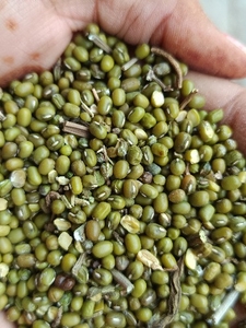 മൂങ്