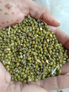 ഫോട്ടോ 2
