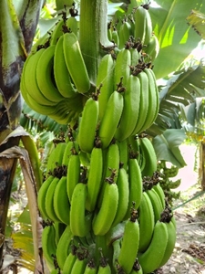 ഫോട്ടോ 2