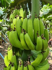 ഫോട്ടോ 3