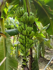 ഫോട്ടോ 4