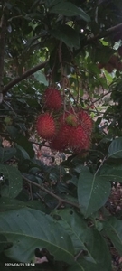 ഫോട്ടോ 2