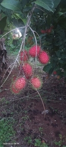 ഫോട്ടോ 3
