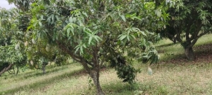 படம் 4