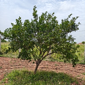 ഫോട്ടോ 2