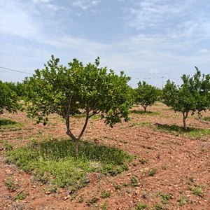 ഫോട്ടോ 4