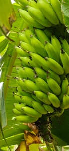 ఫోటో 2