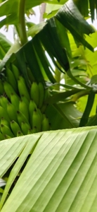 ఫోటో 3