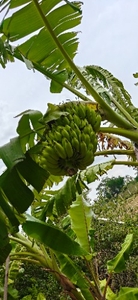 ఫోటో 4