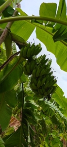 ఫోటో 5