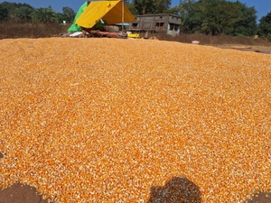 ఫోటో 2