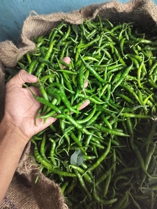 मिर्ची