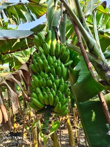 ಫೋಟೋ 2