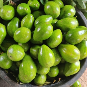 ഫോട്ടോ 2