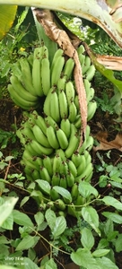 படம் 2