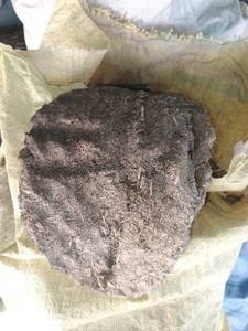 ಹಸುವಿನ ಸಗಣಿ ಕೇಕ್