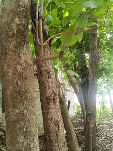 ഫോട്ടോ 3
