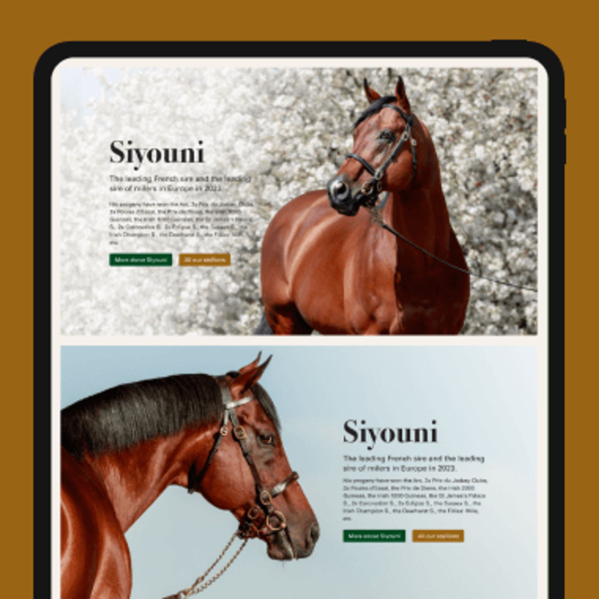 Aga Khan Mobile Mockup