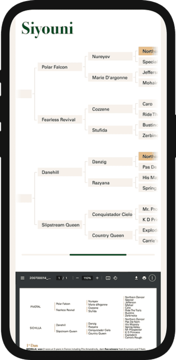 Aga Khan Iphone Mockup