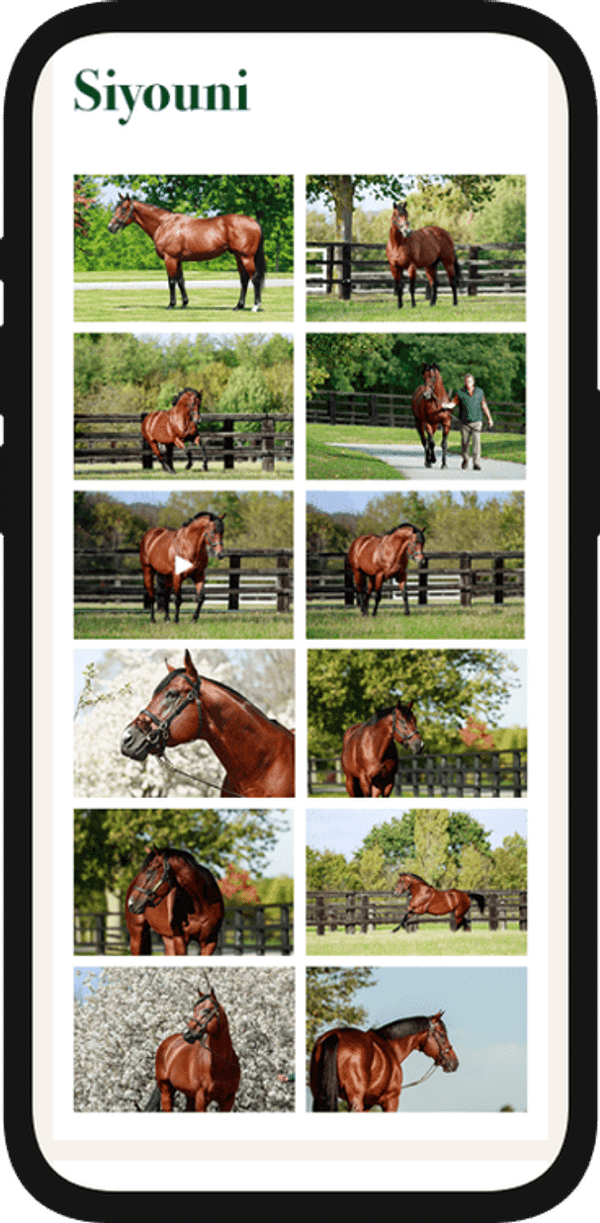 Aga Khan Iphone Mockup